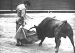682209mexico001.jpg