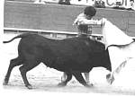 682209mexico006.jpg