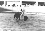 682508acapulco006.jpg