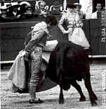 683103mexico013.jpg