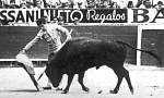 683103mexico024.jpg