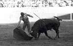 702911aguascalientes022.jpg