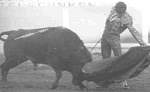 702911aguascalientes026.jpg