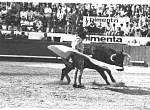 720204lisboa010.jpg
