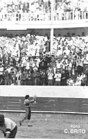 721105chamusca001.jpg