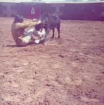momentos020.jpg